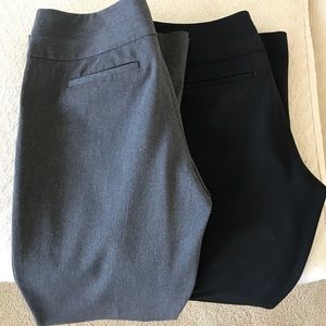 Express Wide Leg Dress Pants